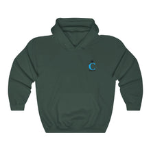 Load image into Gallery viewer, I C WORTH Unisex Heavy Blend™ Hooded Sweatshirt