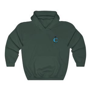 I C WORTH Unisex Heavy Blend™ Hooded Sweatshirt