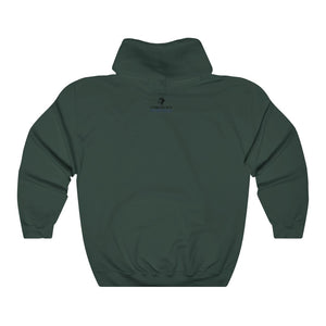 I C WORTH Unisex Heavy Blend™ Hooded Sweatshirt