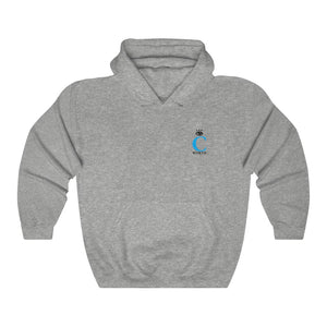 I C WORTH Unisex Heavy Blend™ Hooded Sweatshirt