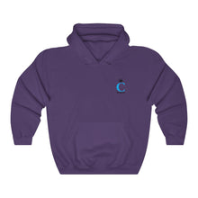 Load image into Gallery viewer, I C WORTH Unisex Heavy Blend™ Hooded Sweatshirt
