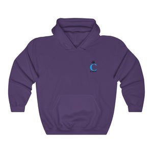 I C WORTH Unisex Heavy Blend™ Hooded Sweatshirt