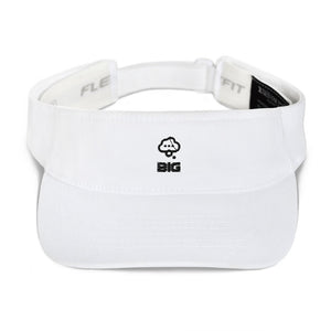Think BIG Visor