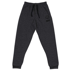 Think BIG Unisex Joggers