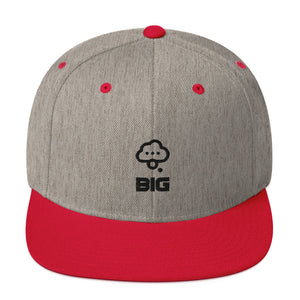Think BIG Snapback Hat