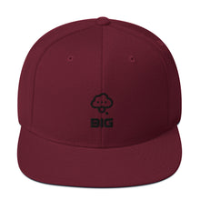 Load image into Gallery viewer, Think BIG Snapback Hat