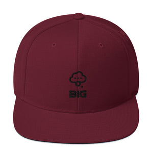 Think BIG Snapback Hat