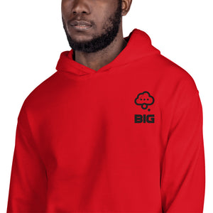 Think BIG Unisex Hoodie