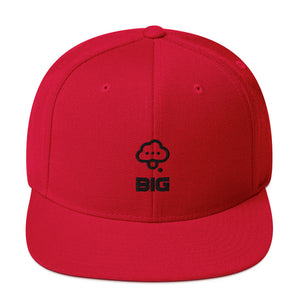 Think BIG Snapback Hat