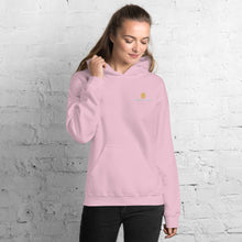 Load image into Gallery viewer, MENTALAIRE Unisex Hoodie