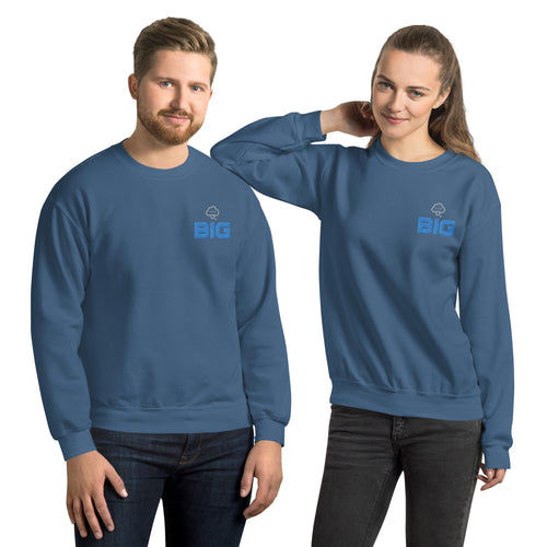 THINK BIG Unisex Sweatshirt